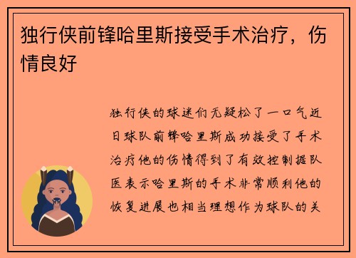 独行侠前锋哈里斯接受手术治疗，伤情良好