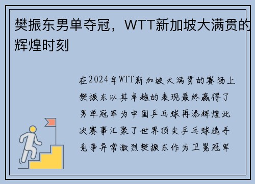樊振东男单夺冠，WTT新加坡大满贯的辉煌时刻