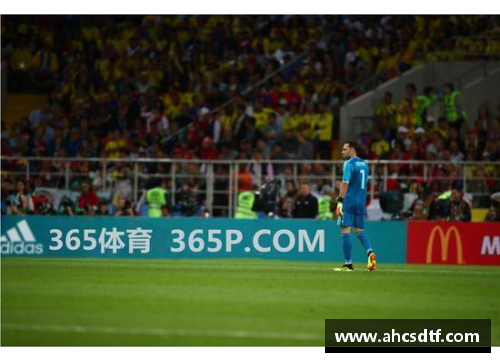 欧博abg官网球星迷的乐园：探索全新的体育粉丝文化
